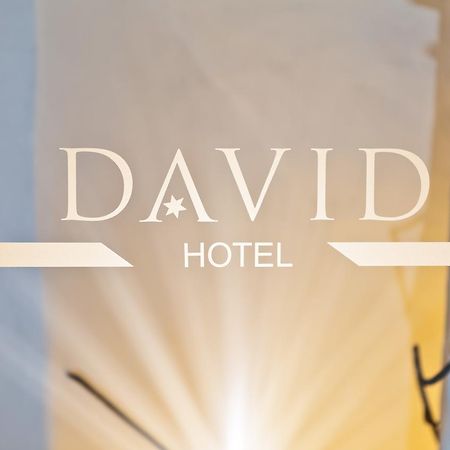 Hotel David An Der Donau レーゲンスブルク エクステリア 写真