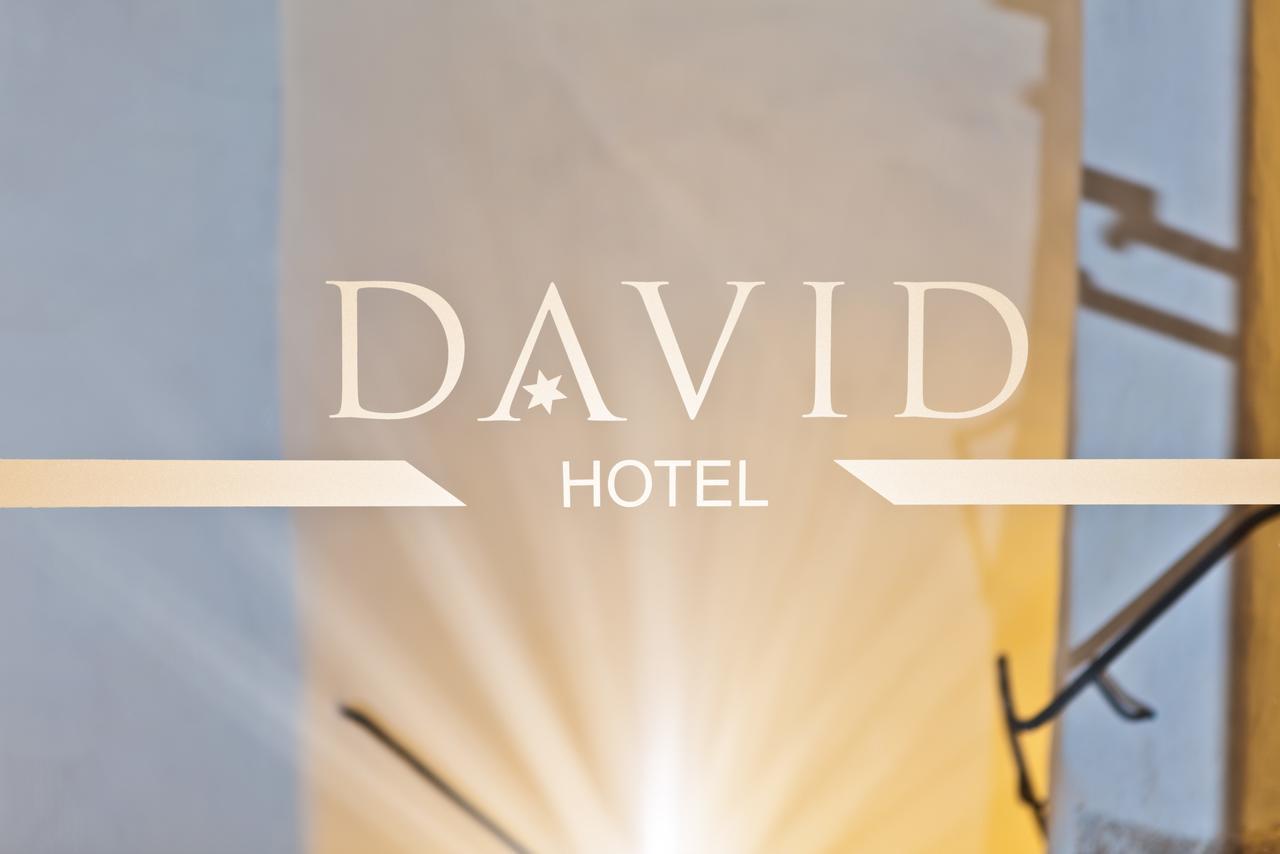 Hotel David An Der Donau レーゲンスブルク エクステリア 写真