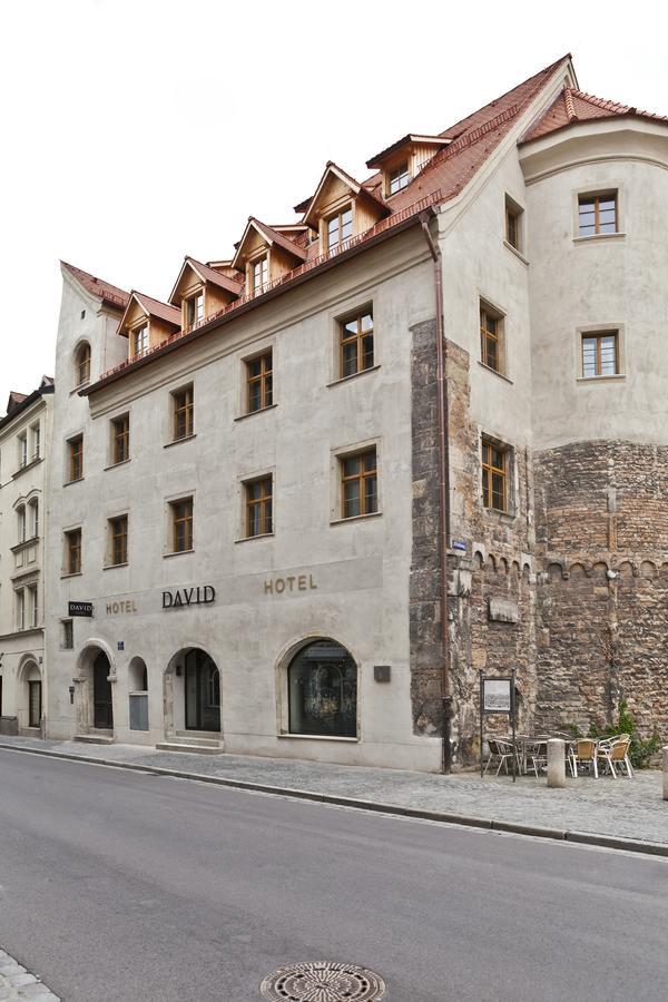 Hotel David An Der Donau レーゲンスブルク エクステリア 写真